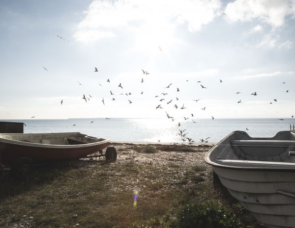 fiskgrossisten_hîst2016_184